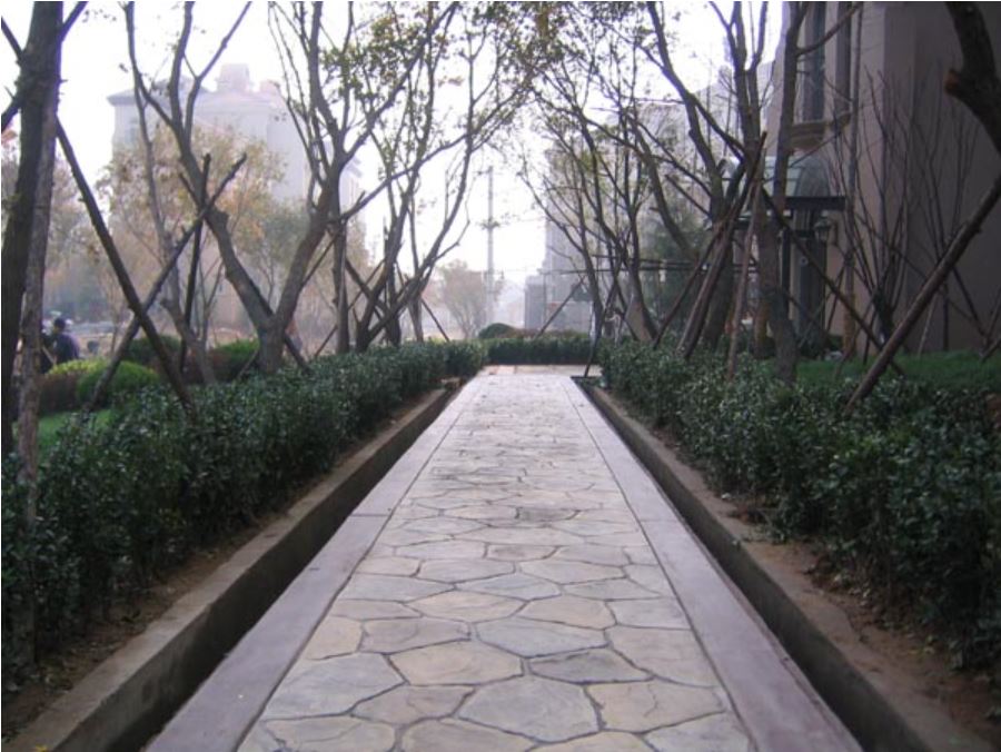 2013427154940381095.jpg