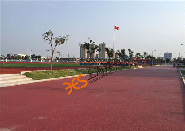 彩色藝術(shù)透水路面.jpg