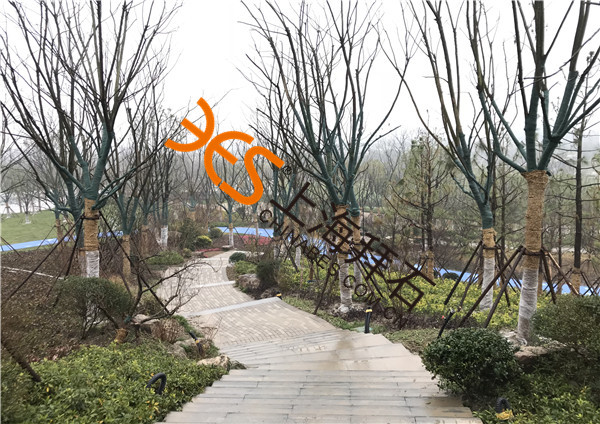 熒光陶粒路面.jpg