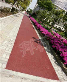 上海臨港新城環(huán)路自行車景觀綠道透水地坪項目！