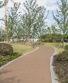 上海市奉賢區(qū)解放東路兩側(cè)綠地建設項目